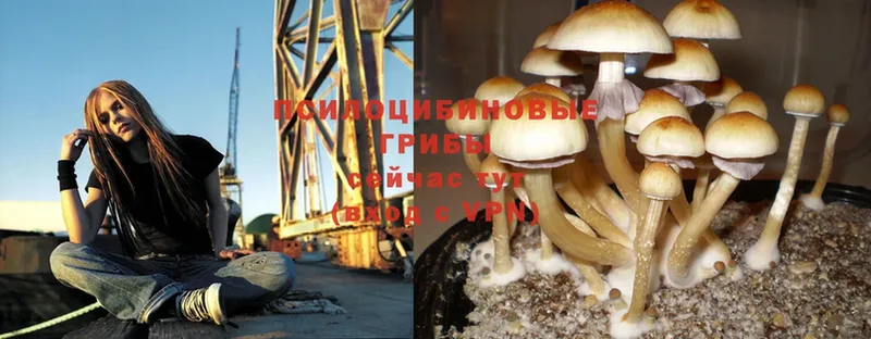 Галлюциногенные грибы MAGIC MUSHROOMS  ссылка на мегу ONION  Арск 